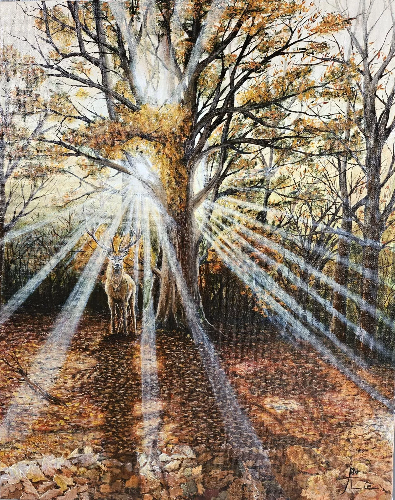 Nathalie ROBIN HERAUD