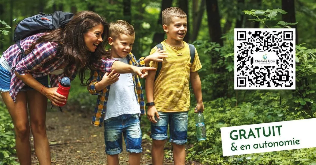 Parcours d'orientation en ligne