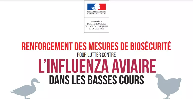 influenza-aviaire