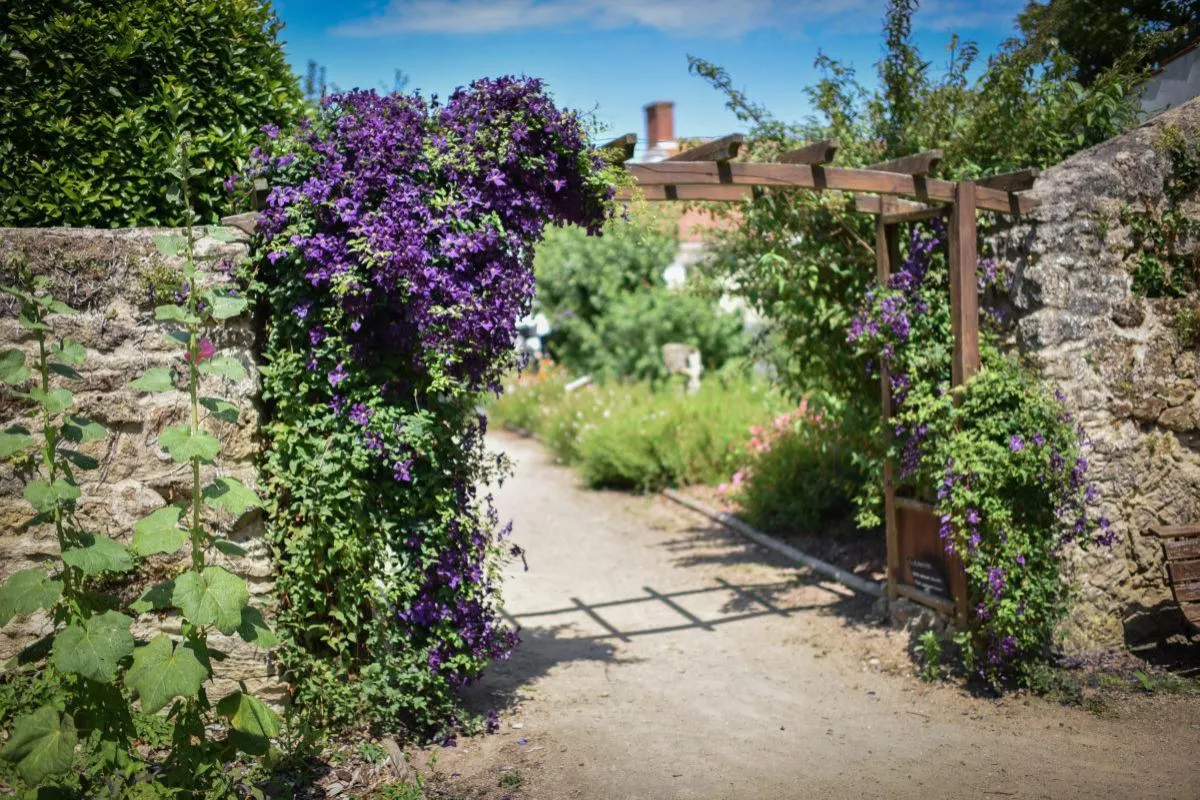 Le Jardin de Vaulieu