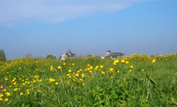 BOUGEOTHÈQUE SALLERTAINOISE