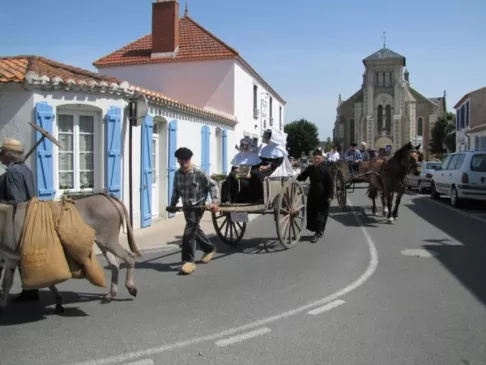 TERRE DE SALLERTAINE